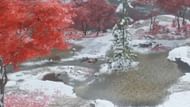 The area is surrounded by hidden Nine Tails waiting to ambush any approaching travelers (Image via Sucker Punch || ZaFrostPet on YouTube)